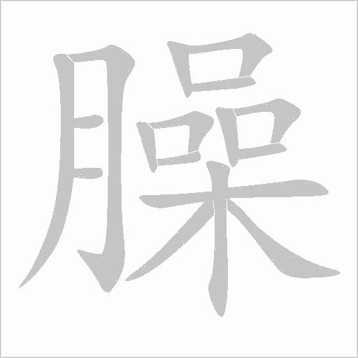 臊字动态笔顺演示