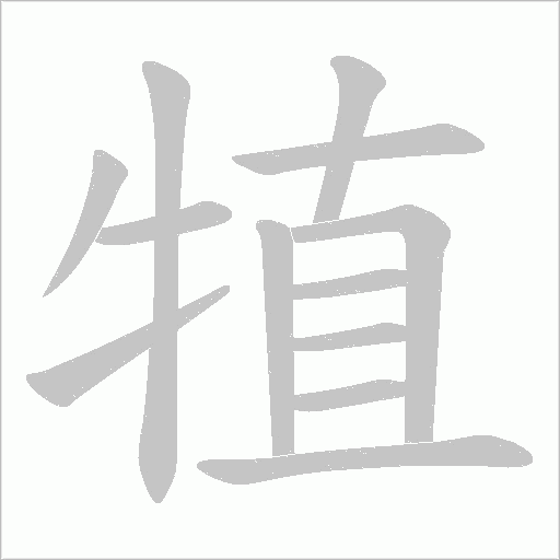 犆字动态笔顺演示