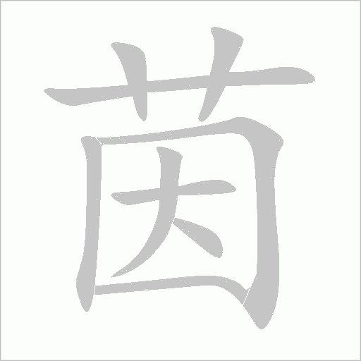茵字动态笔顺演示