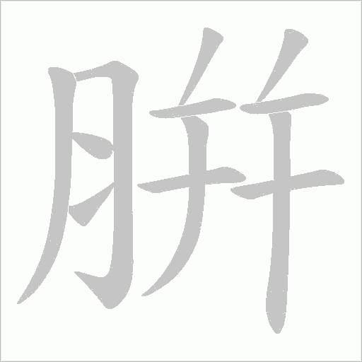 腁字动态笔顺演示