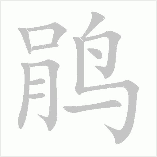 鹃字动态笔顺演示