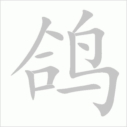 鸽字动态笔顺演示