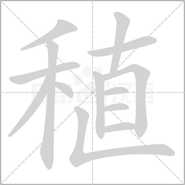 稙字动态笔顺演示