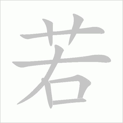 若字动态笔顺演示