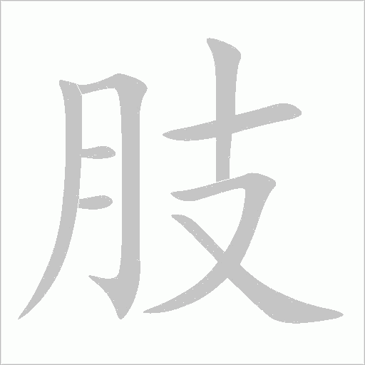 肢字动态笔顺演示