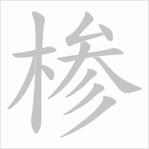 椮字动态笔顺演示
