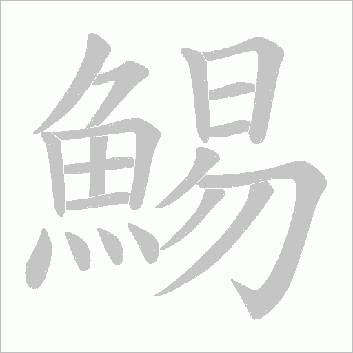 鯣字动态笔顺演示