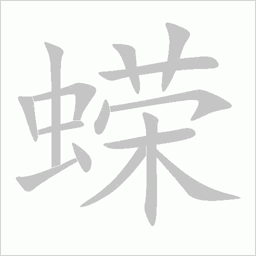 蝾字动态笔顺演示