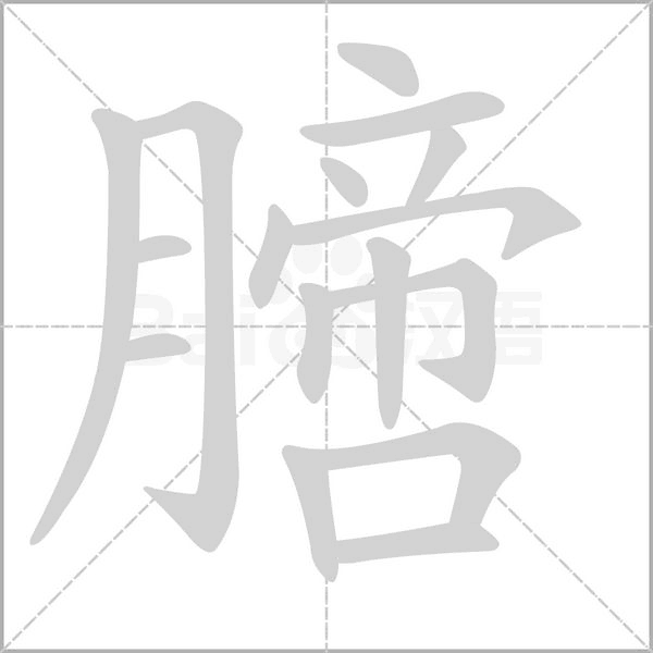 膪字动态笔顺演示