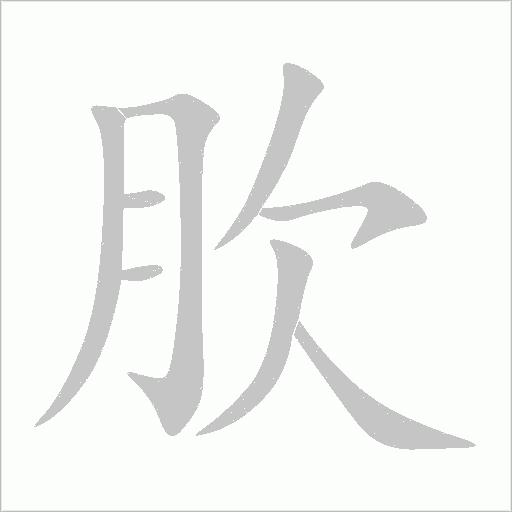 肷字动态笔顺演示