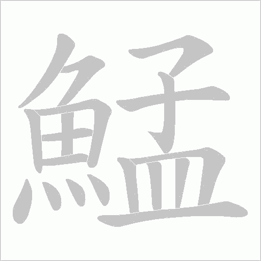鯭字动态笔顺演示