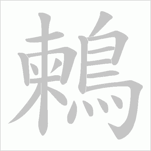 鶫字动态笔顺演示