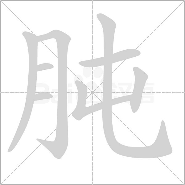 肫字动态笔顺演示