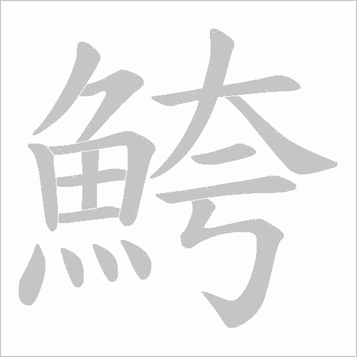 鮬字动态笔顺演示