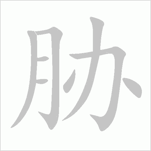 胁字动态笔顺演示