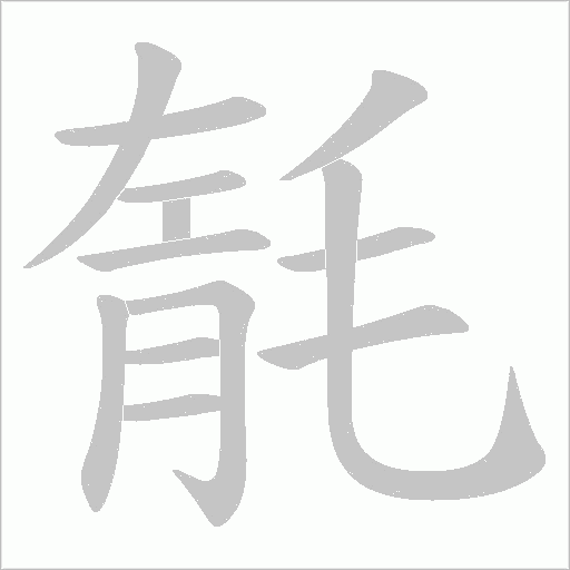毻字动态笔顺演示