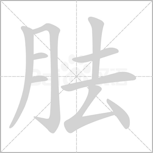 胠字动态笔顺演示