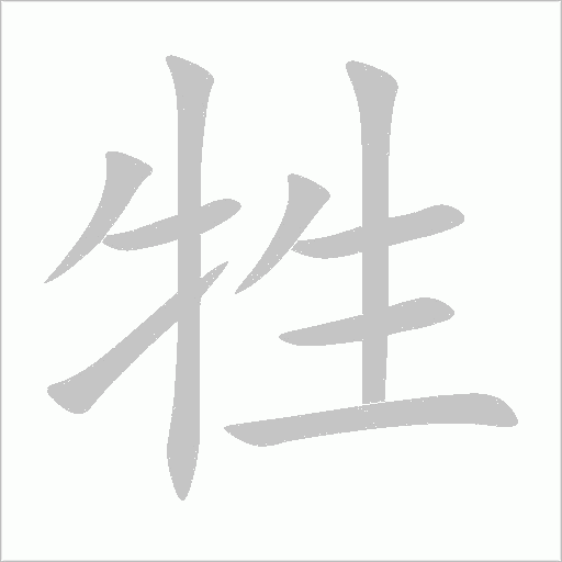 牲字动态笔顺演示