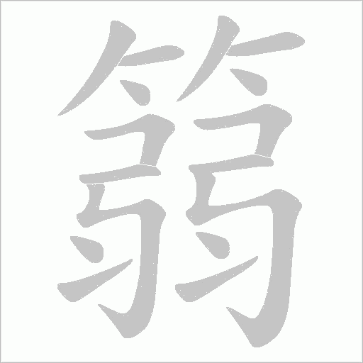 篛字动态笔顺演示
