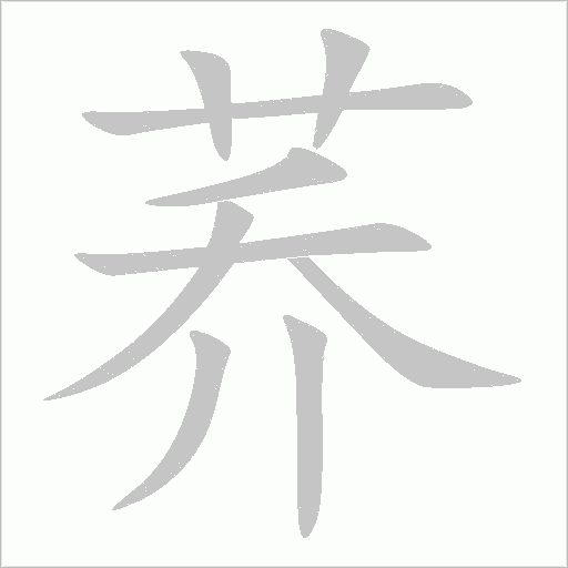 荞字动态笔顺演示