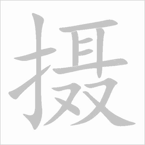 摄字动态笔顺演示