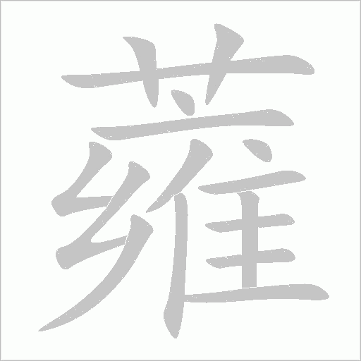 蕹字动态笔顺演示