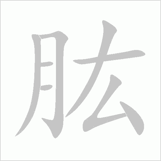 肱字动态笔顺演示