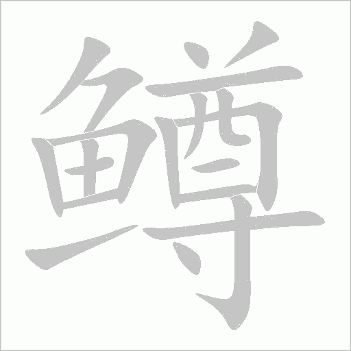 鳟字动态笔顺演示