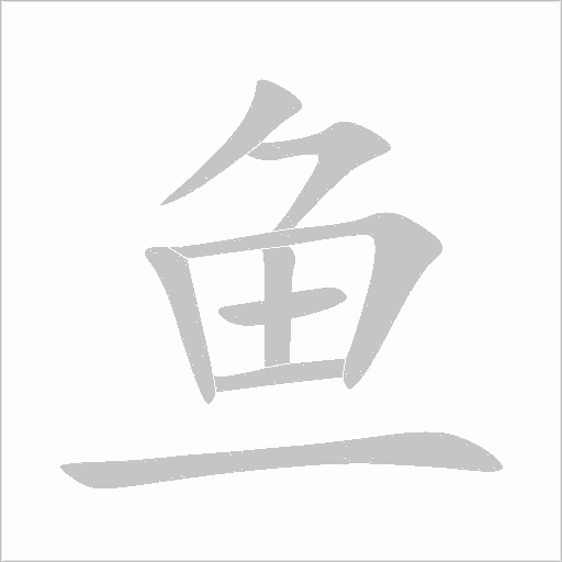 鱼字动态笔顺演示