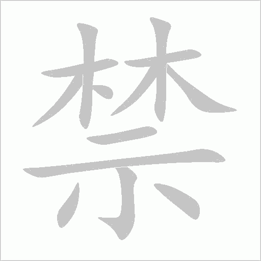 禁字动态笔顺演示