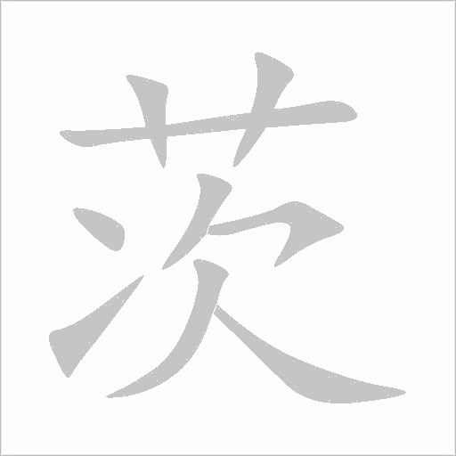 茨字动态笔顺演示