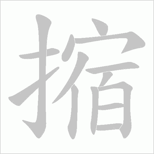 摍字动态笔顺演示