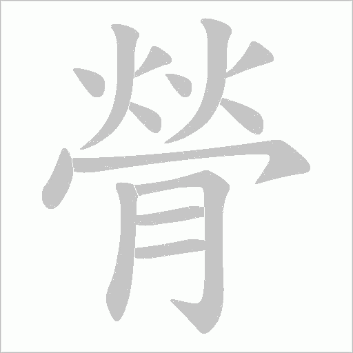 膋字动态笔顺演示