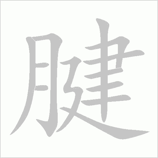 腱字动态笔顺演示