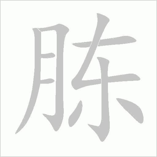 胨字动态笔顺演示