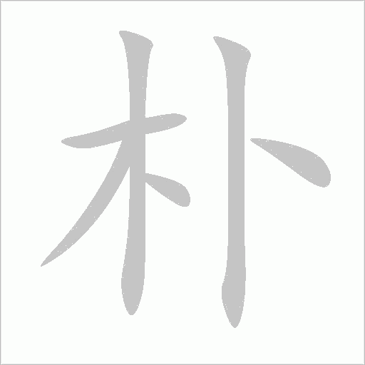 朴字动态笔顺演示
