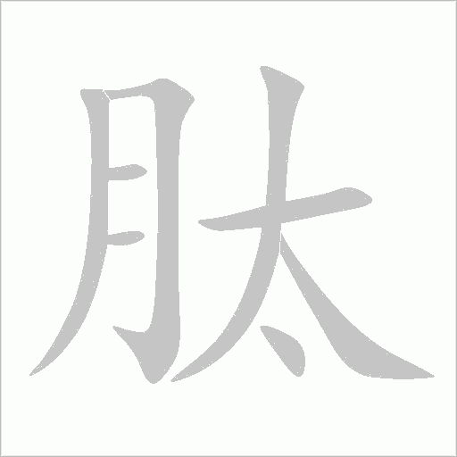 肽字动态笔顺演示
