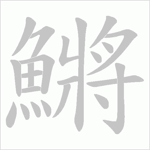 鱂字动态笔顺演示