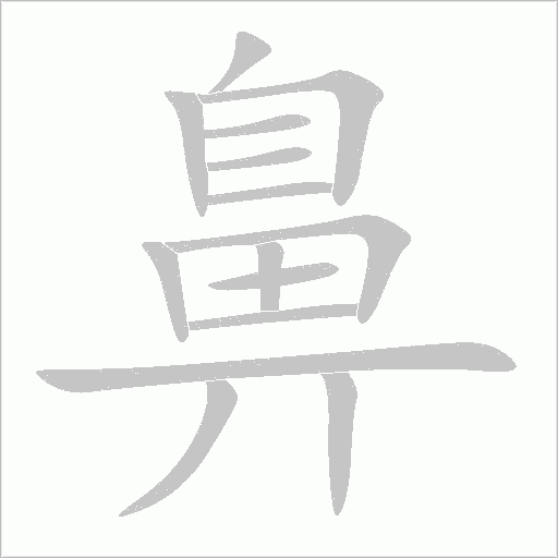 鼻字动态笔顺演示