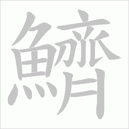 鱭字动态笔顺演示
