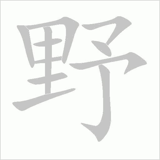 野字动态笔顺演示