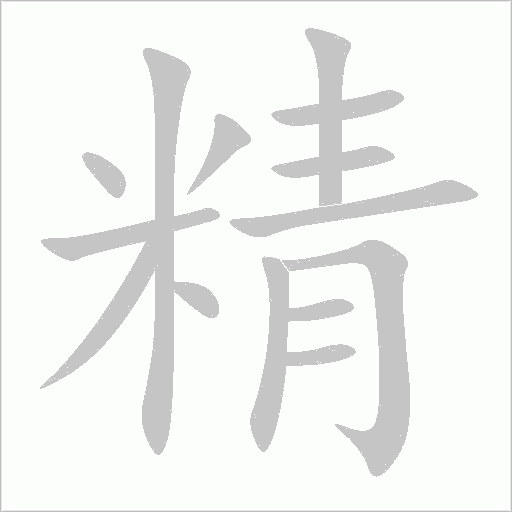 精字动态笔顺演示