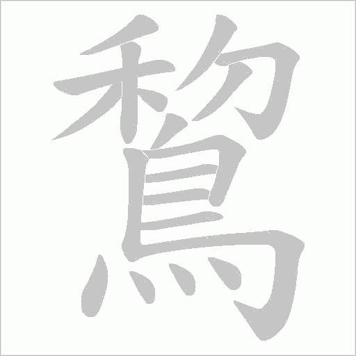 鵹字动态笔顺演示