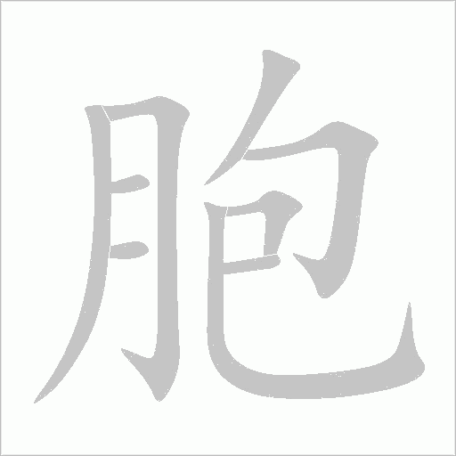 胞字动态笔顺演示