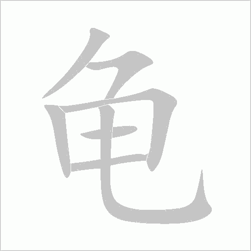 龟字动态笔顺演示