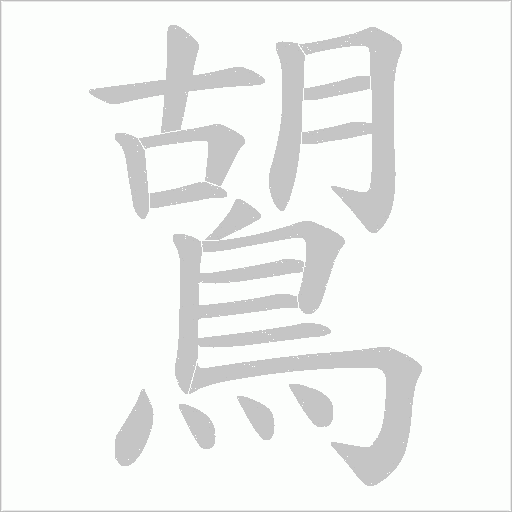 鶦字动态笔顺演示