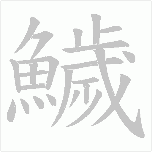 鱥字动态笔顺演示