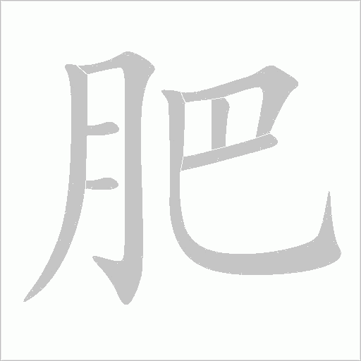 肥字动态笔顺演示