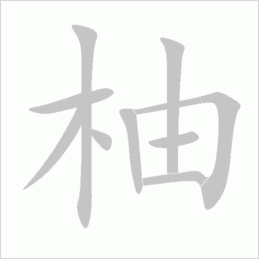 柚字动态笔顺演示