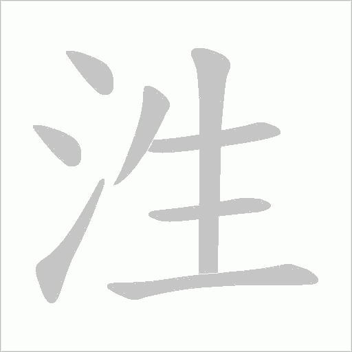 泩字动态笔顺演示